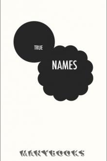 True Names by Benjamin Rosenbaum