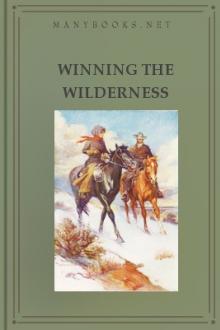Winning the Wilderness by Margaret Hill McCarter