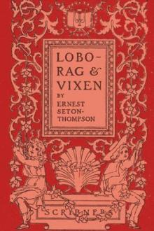 Lobo, Rag and Vixen by Ernest Thompson Seton