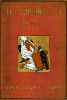 The Curious Book of Birds by Abbie Farwell Brown