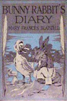 Bunny Rabbit's Diary by Mary Frances Blaisdell