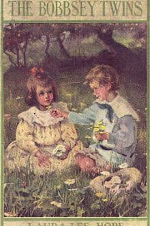 The Bobbsey Twins by Laura Lee Hope