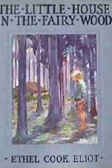 The Little House in the Fairy Wood by Ethel Cook Eliot