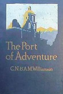 The Port of Adventure by Charles Norris Williamson, Alice Muriel Williamson