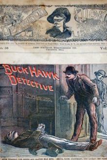 Buck Hawk, Detective by Edward L. Wheeler