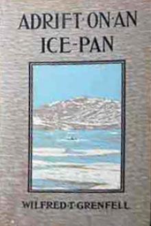 Adrift on an Ice-Pan by Sir Grenfell Wilfred Thomason