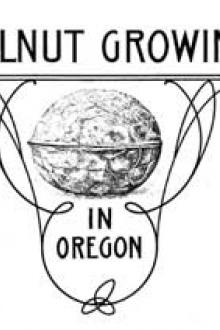 Walnut Growing in Oregon by Unknown