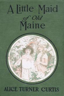 A Little Maid of Old Maine by Alice Turner Curtis