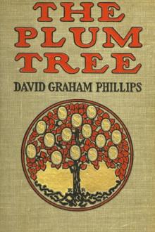 The Plum Tree by David Graham Phillips