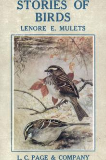 Stories of Birds by Lenore Elizabeth Mulets