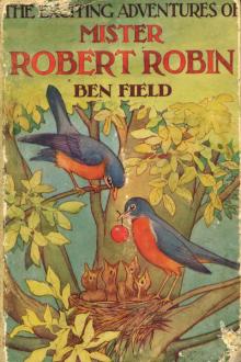 Exciting Adventures of Mister Robert Robin by Ben Field