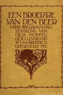 Een Broertje van den Beer by William J. Long