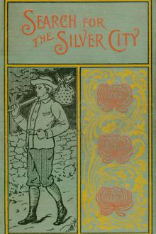 The Search for the Silver City by James Otis