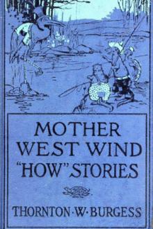 Mother West Wind ''How'' Stories by Thornton W. Burgess
