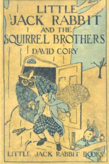 Little Jack Rabbit and the Squirrel Brothers by David Cory