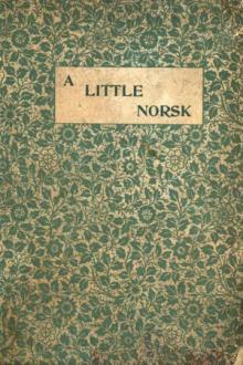 A Little Norsk by Hamlin Garland
