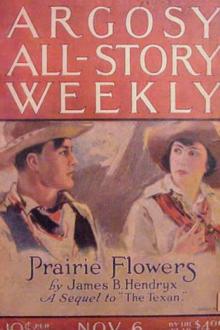 Prairie Flowers by James B. Hendryx