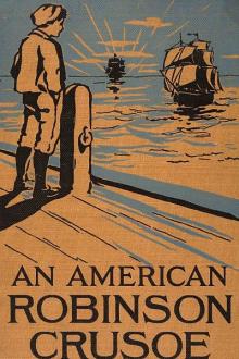 An American Robinson Crusoe by Samuel B. Allison