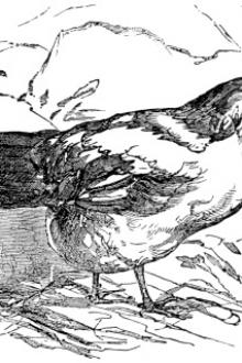 The Fox and the Geese; and The Wonderful History of Henny-Penny by Anonymous
