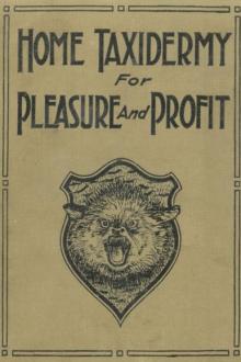 Home Taxidermy for Pleasure and Profit by Albert Burton Farnham