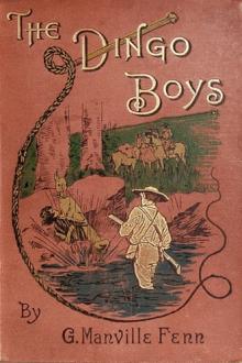 The Dingo Boys by George Manville Fenn
