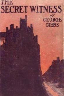 The Secret Witness by George Gibbs