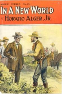 In A New World by Jr. Alger Horatio