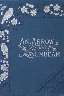 An Arrow in a Sunbeam by active 19th century Lee Frances, C. S. Sleight, Sarah Orne Jewett