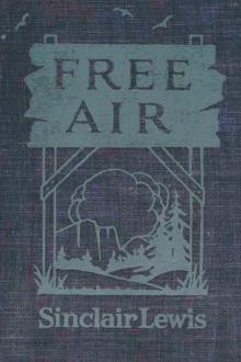 Free Air by Sinclair Lewis