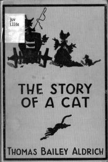 The Story of a Cat by Émile Gigault de la Bédollière