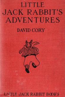 Little Jack Rabbit's Adventures by David Cory