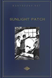 Sunlight Patch by Credo Fitch Harris