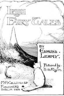 Irish Fairy Tales by Edmund Leamy