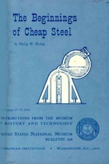 The Beginnings of Cheap Steel by Philip W. Bishop
