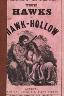 The Hawks of Hawk-Hollow, vol. II by Robert Montgomery Bird