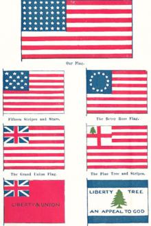 The Little Book of the Flag by Eva March Tappan