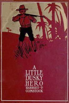 A Little Dusky Hero by Harriet T. Comstock