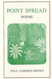 Point Spread Poems by Paul Cameron Brown