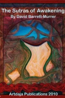 The Sutras of Awakening by David Barrett-Murrer