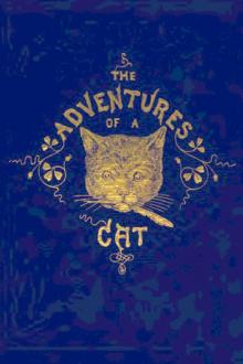 The Adventures of a Cat by Alfred Elwes