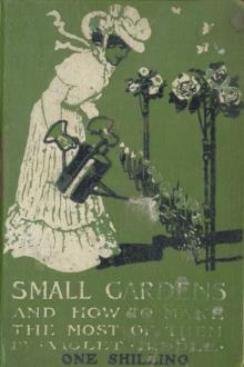 Small Gardens by Violet Purton Biddle