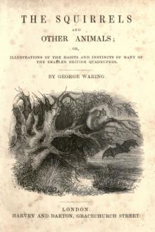The Squirrels and other animals by George Waring