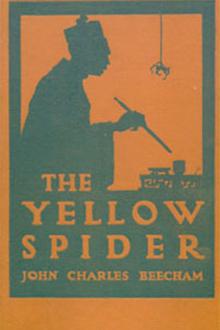 The Yellow Spider by John Charles Beecham