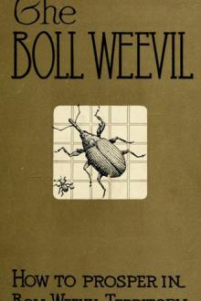 How to Prosper in Boll Weevil Territory by G. H. Alford
