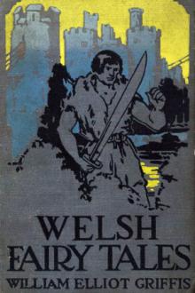 Welsh Fairy Tales  by William Elliot Griffis