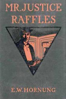 Mr. Justice Raffles  by E. W. Hornung