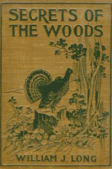 Secret of the Woods by William J. Long