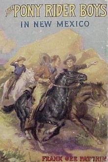 The Pony Rider Boys in New Mexico by Frank Gee Patchin