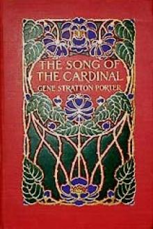 The Song of the Cardinal by Gene Stratton Porter
