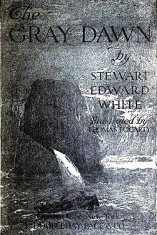 The Gray Dawn by Stewart Edward White